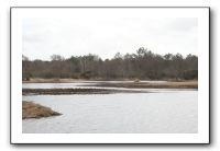 IMG_2641