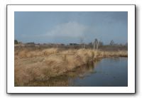 IMG_2651