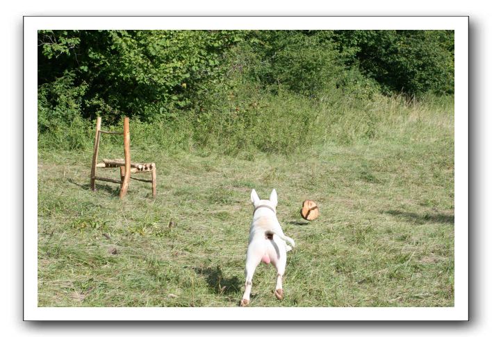 IMG_1878