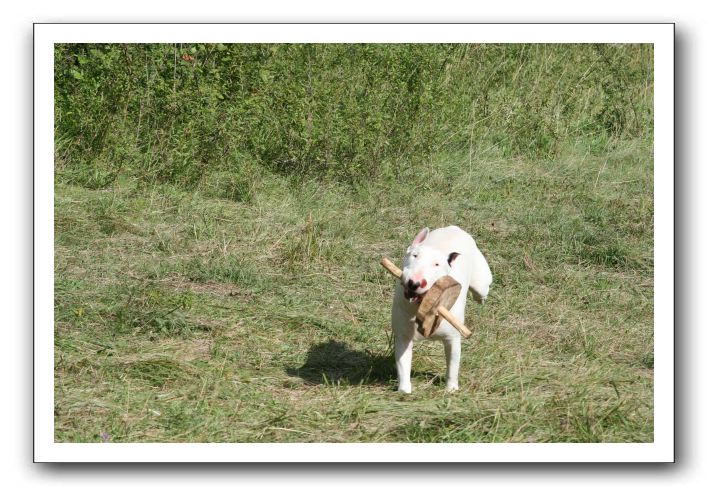 IMG_1882