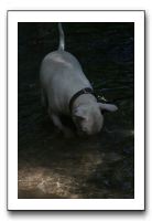 IMG_1801