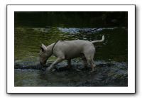 IMG_1767