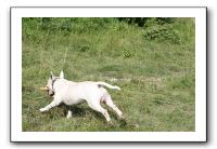 IMG_1870