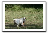 IMG_1872