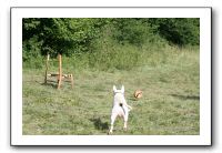 IMG_1878
