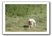 IMG_1881