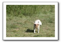 IMG_1882