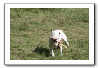 IMG_1883