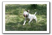 IMG_1886