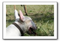 IMG_1890