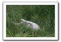 IMG_1896