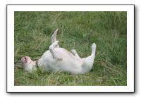 IMG_1905