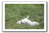 IMG_1909