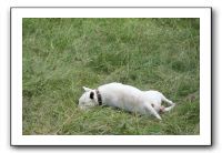 IMG_1910