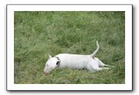 IMG_1912