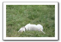 IMG_1914