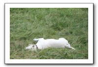 IMG_1915