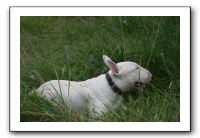 IMG_1917