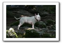 IMG_1779