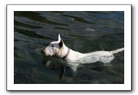 IMG_0527