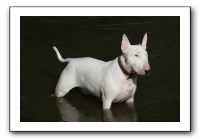 IMG_0547