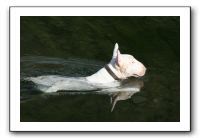 IMG_0553