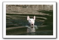 IMG_0578