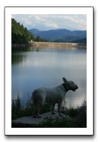 IMG_0608