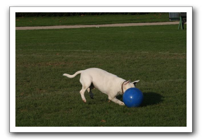 IMG_3862