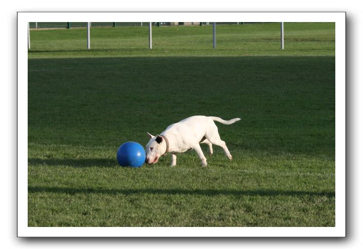 IMG_3874
