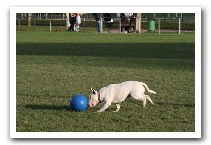 IMG_3876