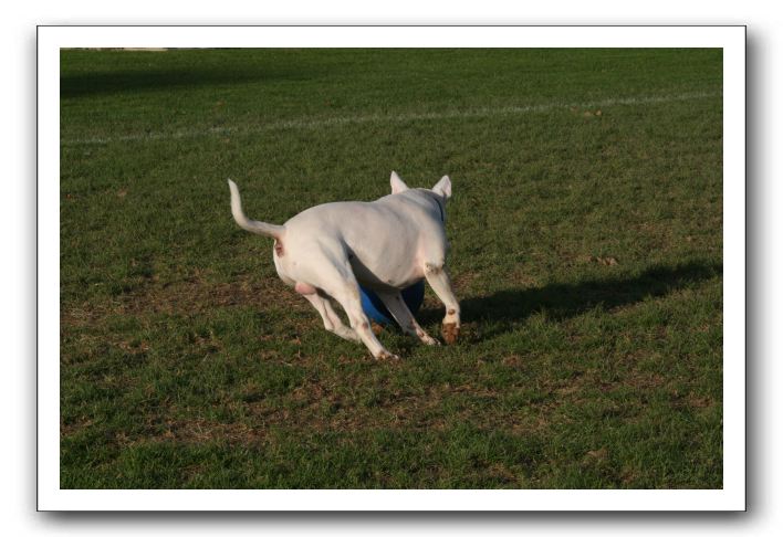 IMG_3891