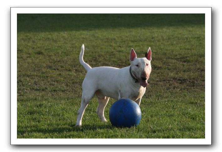 IMG_3936