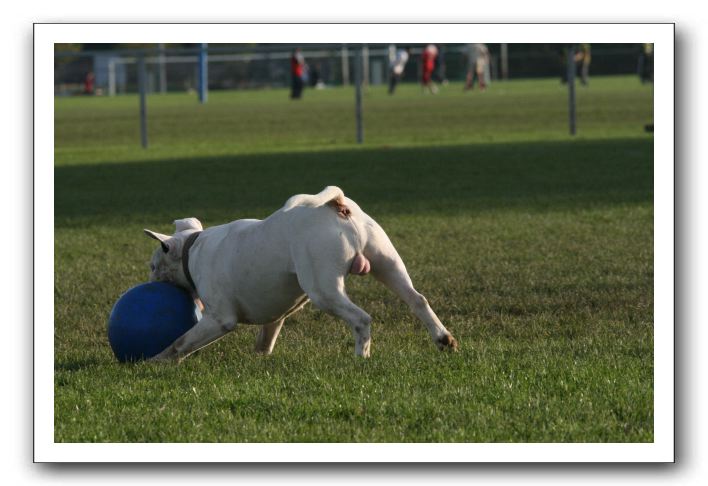 IMG_3942