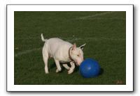 IMG_3863