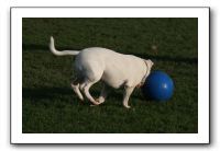 IMG_3870
