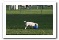 IMG_3872