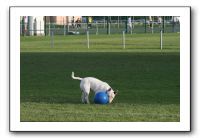 IMG_3873