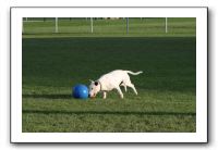 IMG_3874