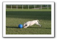 IMG_3875