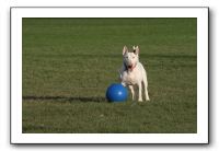 IMG_3878