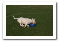 IMG_3853