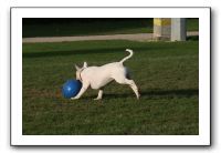 IMG_3882