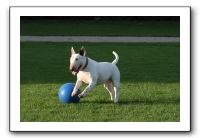 IMG_3888