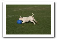IMG_3854