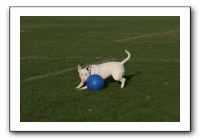 IMG_3855