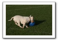 IMG_3903