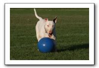 IMG_3905