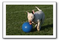 IMG_3906