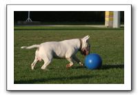 IMG_3908